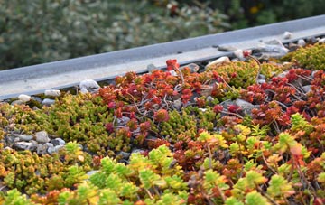 the cost of Youlthorpe green roof installation