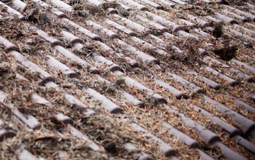 Youlthorpe roof cleaning companies