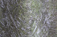 Youlthorpe fibreglass roof work